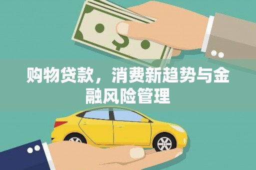 凤县购物贷款，消费新趋势与金融风险管理