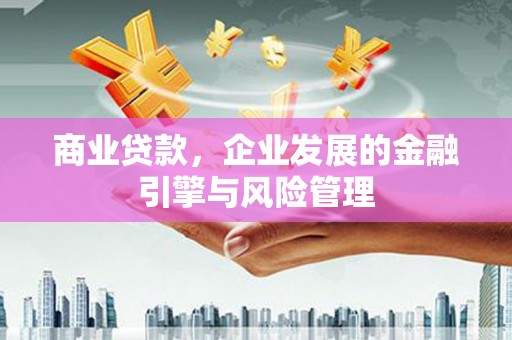 凤县商业贷款，企业发展的金融引擎与风险管理