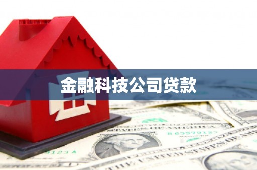 凤县金融科技公司贷款