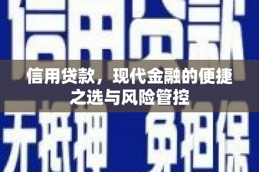 凤县信用贷款，现代金融的便捷之选与风险管控