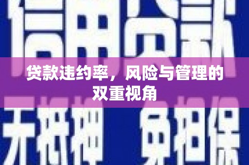 凤县贷款违约率，风险与管理的双重视角
