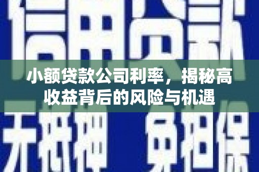 凤县小额贷款公司利率，揭秘高收益背后的风险与机遇