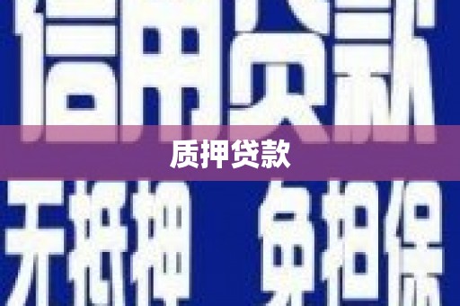 凤县质押贷款