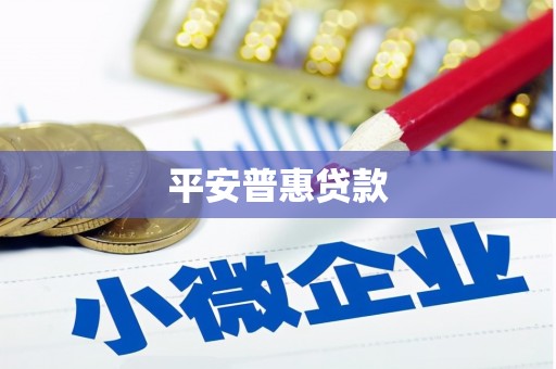 凤县平安普惠贷款
