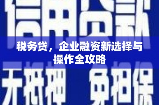 凤县税务贷，企业融资新选择与操作全攻略