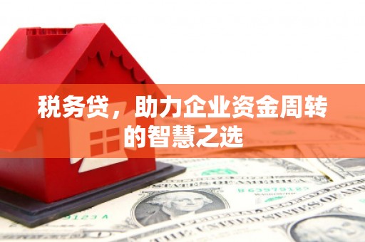 凤县税务贷，助力企业资金周转的智慧之选