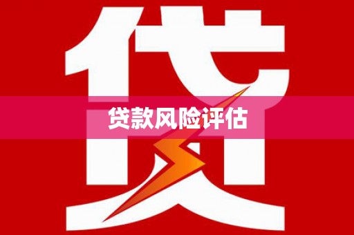 凤县贷款风险评估