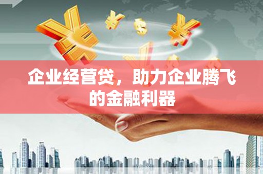 凤县企业经营贷，助力企业腾飞的金融利器