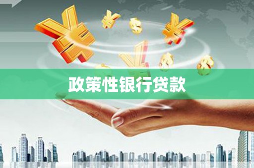 凤县政策性银行贷款