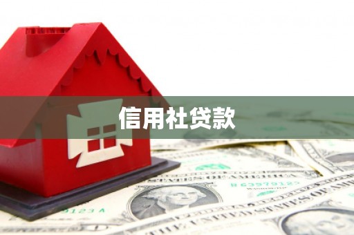 凤县信用社贷款