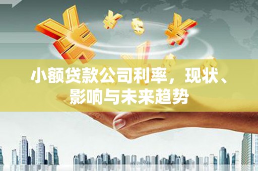 凤县小额贷款公司利率，现状、影响与未来趋势