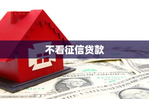 凤县不看征信贷款