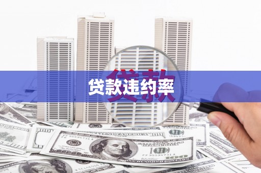 凤县贷款违约率