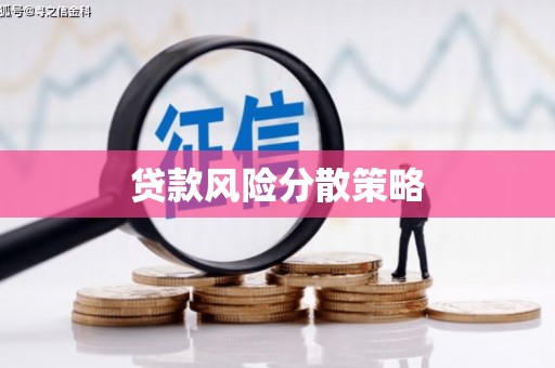 凤县贷款风险分散策略