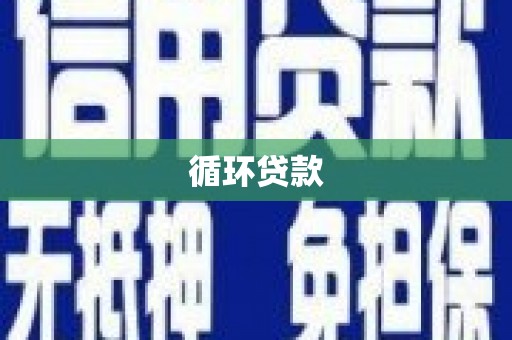 凤县循环贷款