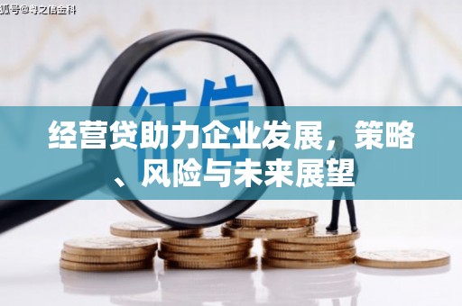 凤县经营贷助力企业发展，策略、风险与未来展望