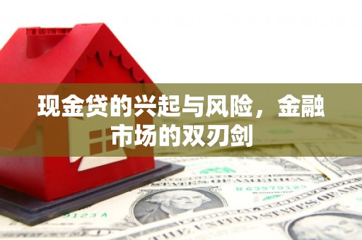 凤县现金贷的兴起与风险，金融市场的双刃剑