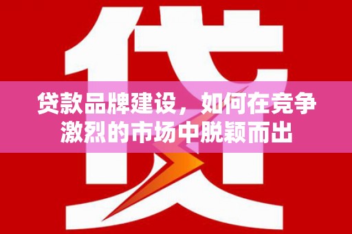 凤县贷款品牌建设，如何在竞争激烈的市场中脱颖而出