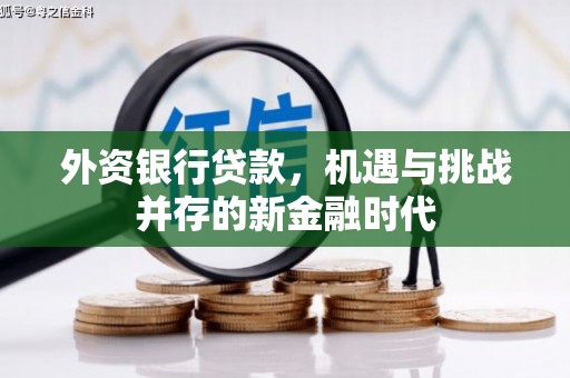 凤县外资银行贷款，机遇与挑战并存的新金融时代
