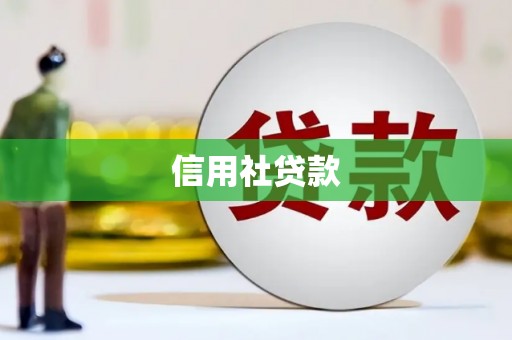 凤县信用社贷款