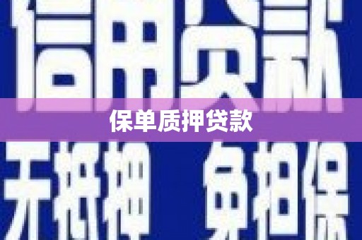 凤县保单质押贷款
