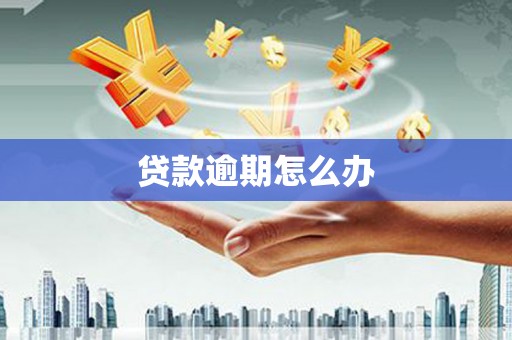 凤县贷款逾期怎么办