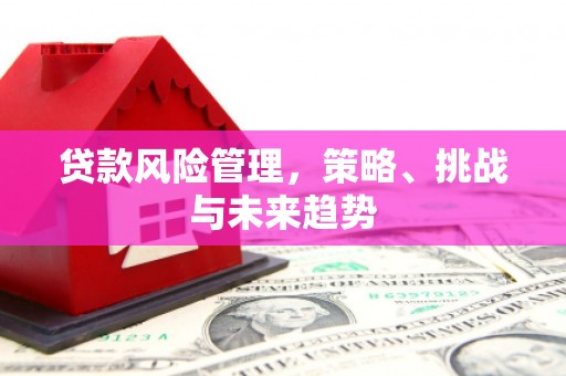 凤县贷款风险管理，策略、挑战与未来趋势