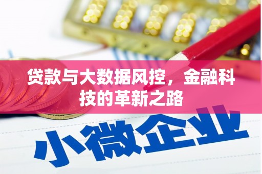 凤县贷款与大数据风控，金融科技的革新之路