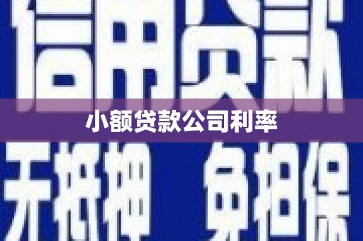凤县小额贷款公司利率