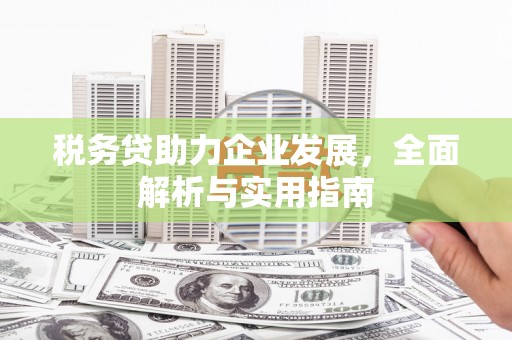 凤县税务贷助力企业发展，全面解析与实用指南