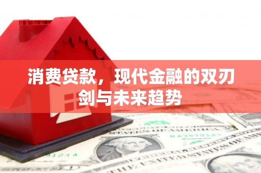凤县消费贷款，现代金融的双刃剑与未来趋势