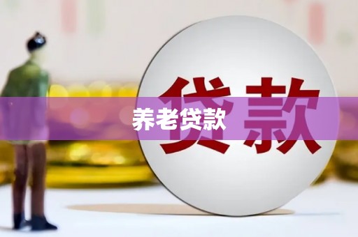 凤县养老贷款