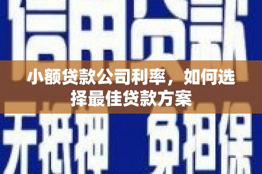 凤县小额贷款公司利率，如何选择最佳贷款方案