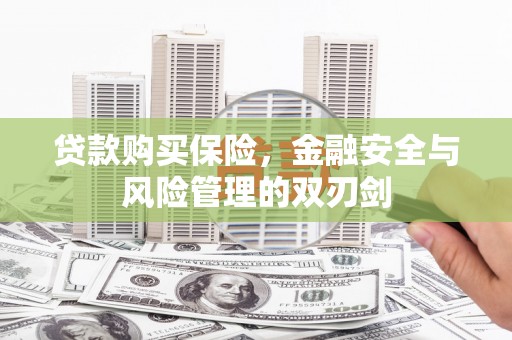 凤县贷款购买保险，金融安全与风险管理的双刃剑