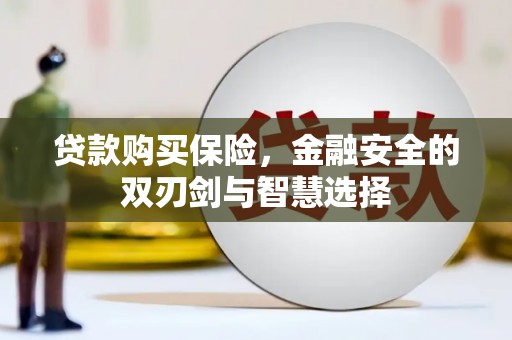 凤县贷款购买保险，金融安全的双刃剑与智慧选择