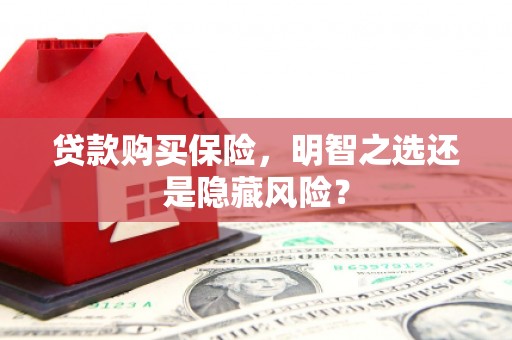 凤县贷款购买保险，明智之选还是隐藏风险？