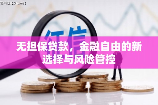 凤县无担保贷款，金融自由的新选择与风险管控