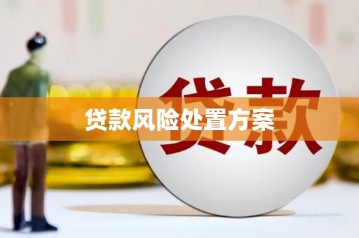 凤县贷款风险处置方案
