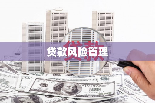 凤县贷款风险管理