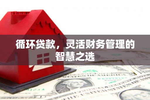 凤县循环贷款，灵活财务管理的智慧之选