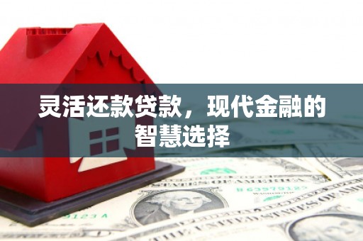 凤县灵活还款贷款，现代金融的智慧选择