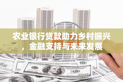 凤县农业银行贷款助力乡村振兴，金融支持与未来发展
