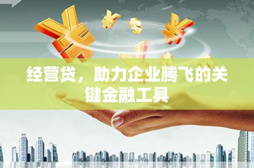 凤县经营贷，助力企业腾飞的关键金融工具