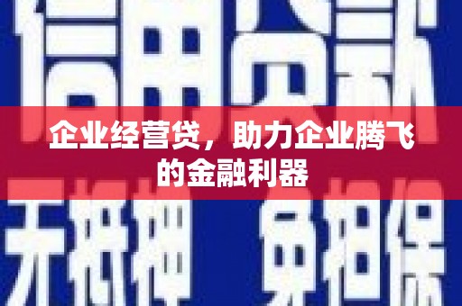 凤县企业经营贷，助力企业腾飞的金融利器