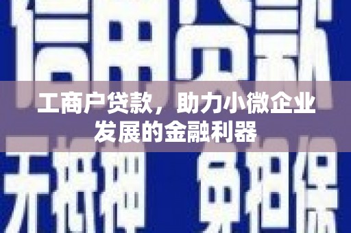 凤县工商户贷款，助力小微企业发展的金融利器