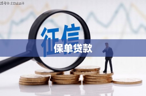 凤县保单贷款