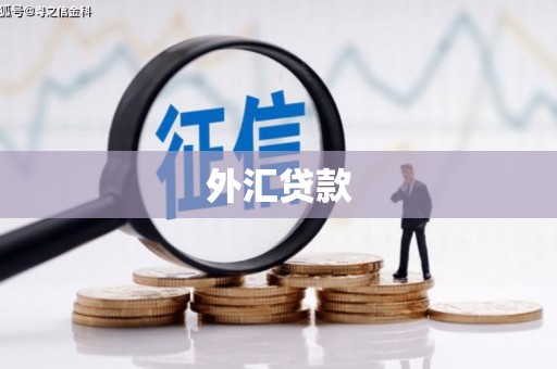 凤县外汇贷款