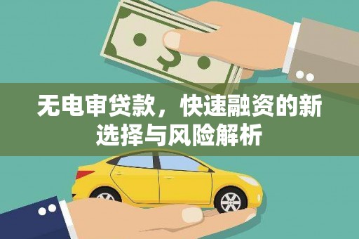凤县无电审贷款，快速融资的新选择与风险解析