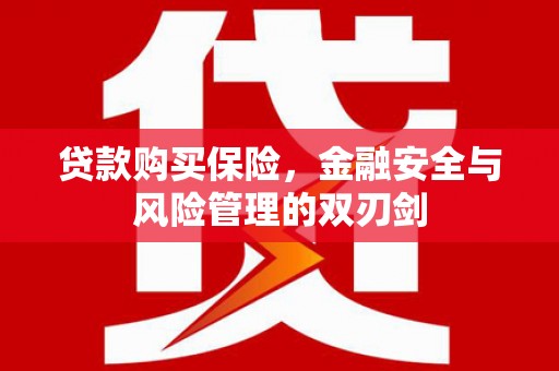 凤县贷款购买保险，金融安全与风险管理的双刃剑