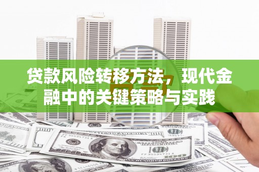凤县贷款风险转移方法，现代金融中的关键策略与实践